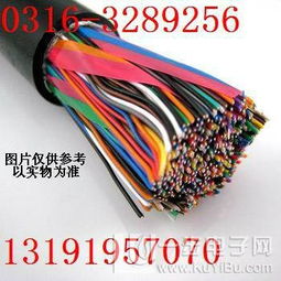 KVVP2-22控制电缆 高清大图与权威产品报价详解